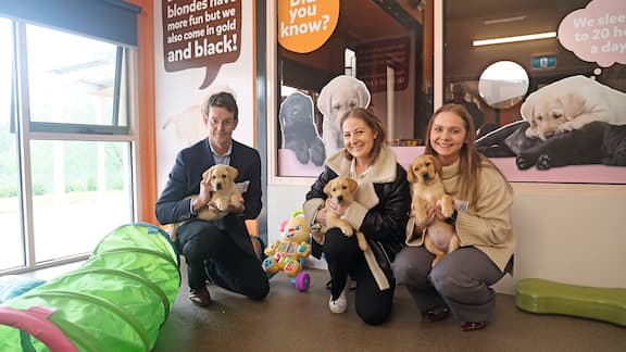 The Miele Professional Team meeting Miele