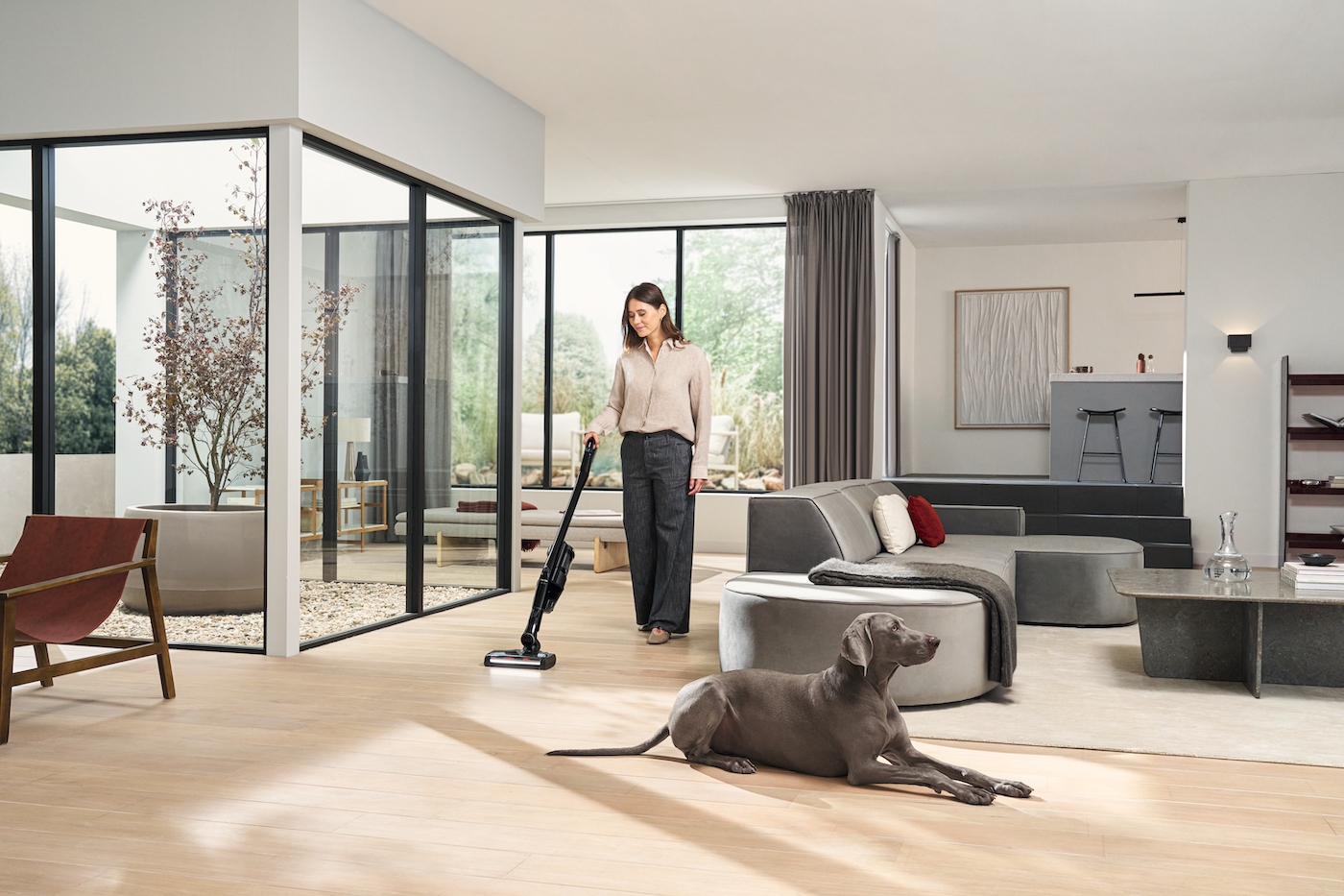 Triflex HX3 Cat&Dog Cordless stick vacuum cleaners product photo View31 ZOOM