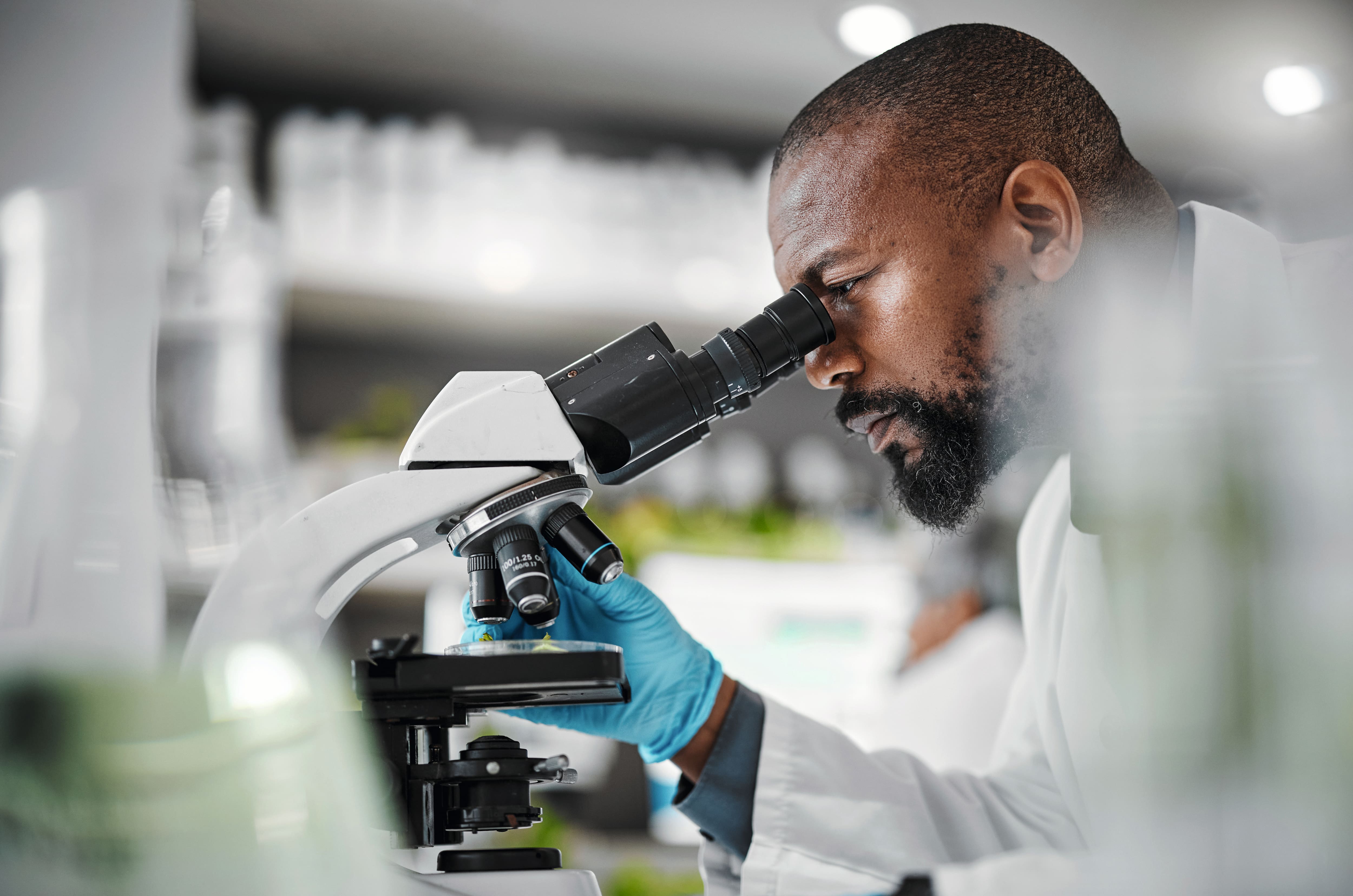 A laboratory assistant looks through a microscope.