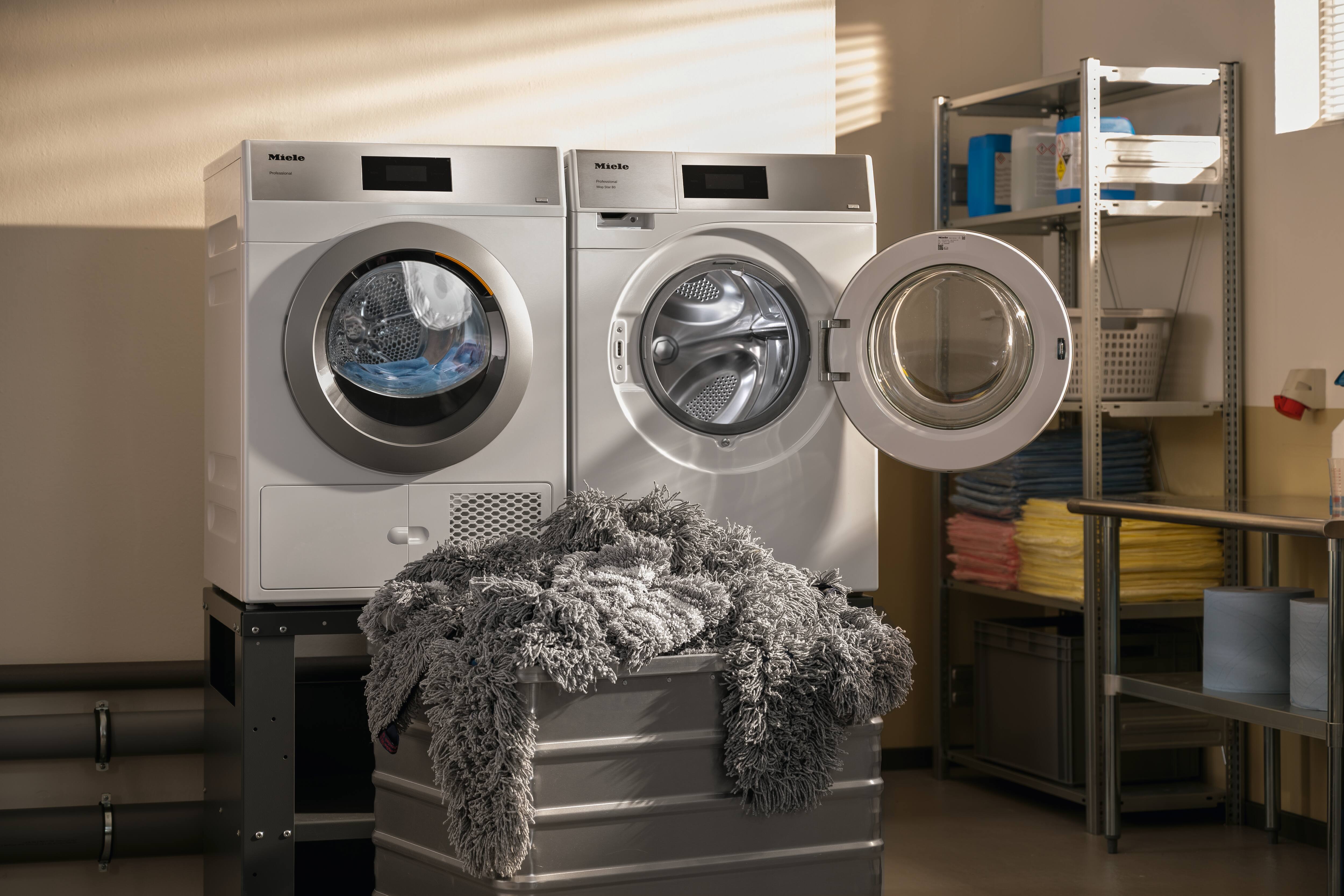 Kleine Riesen mit Mops