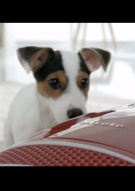 Miele S8 floorcare TVC 2013