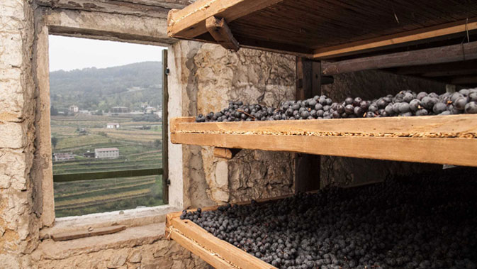 Amarone