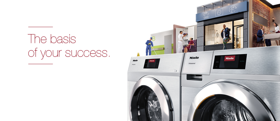 Discover the new Little Giants