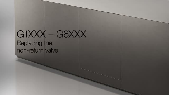 G1XXX - G6XXX Replacing the non-return valve
