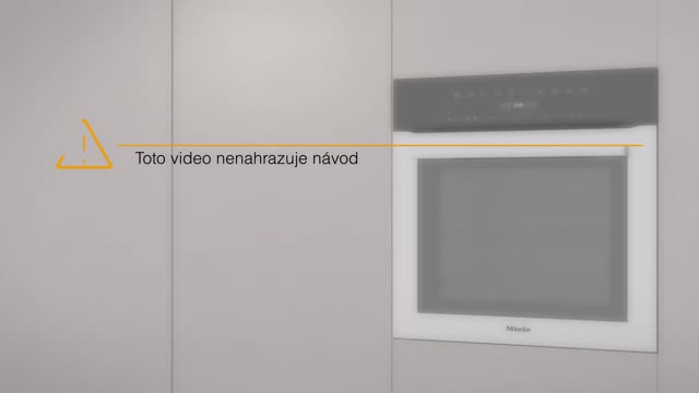 Přehrát video
